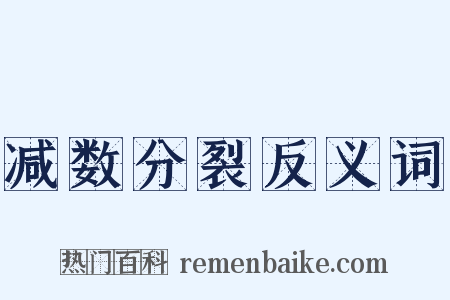 减数分裂反义词是什么意思的图片